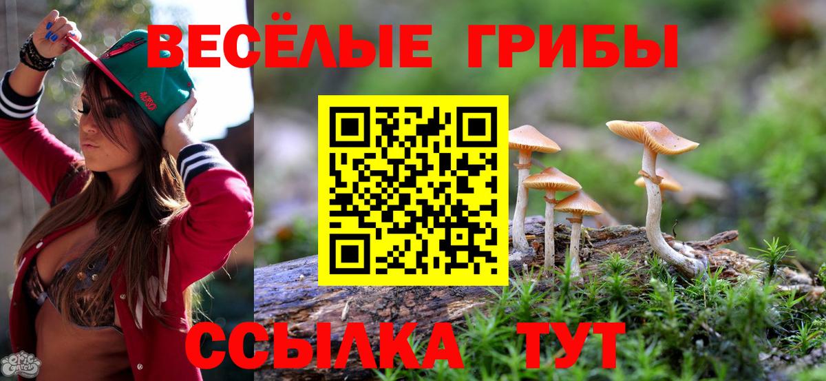Учалы  где купить наркотик  Вход с VPN  Галлюциногенные грибы прущие грибы  Псилоцибиновые грибы MAGIC MUSHROOMS 
